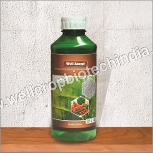 एजोस्पिरिलियम