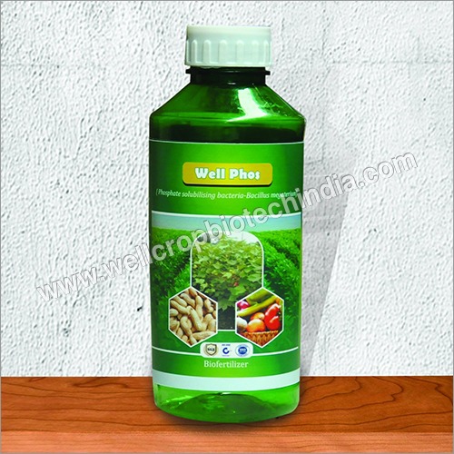 बैसिलस मेगाटेरियम