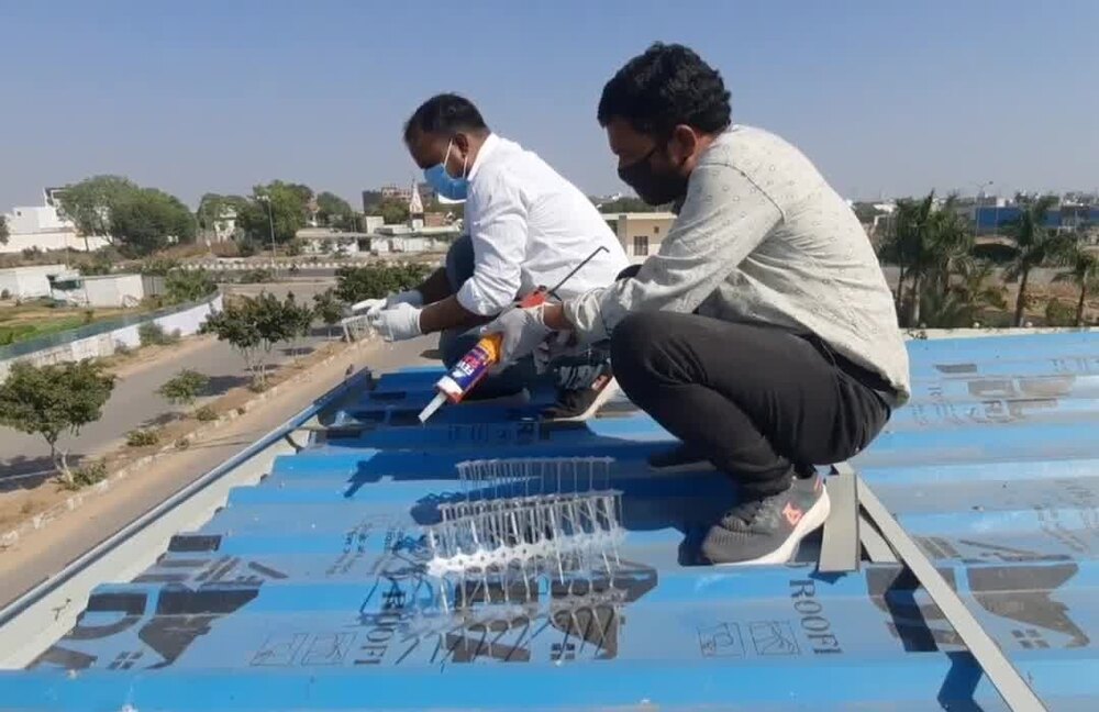 पक्षी नियंत्रण सेवा