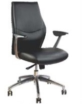 प्रीमियम 9