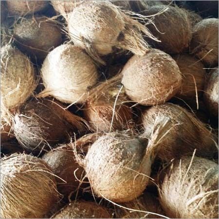 Natural Husk Coconut