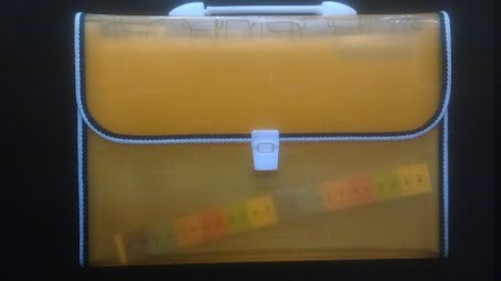 Single Color Expandable Files