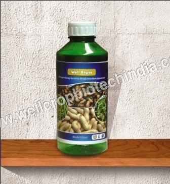 राइजोबियम