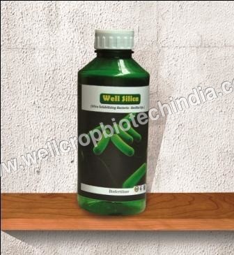 सिलिका घुलनशील बैक्टीरिया