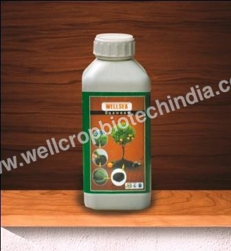 समुद्री शैवाल संयंत्र विकास प्रमोटर