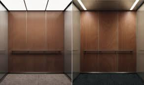 Automatic Passenger Elevators