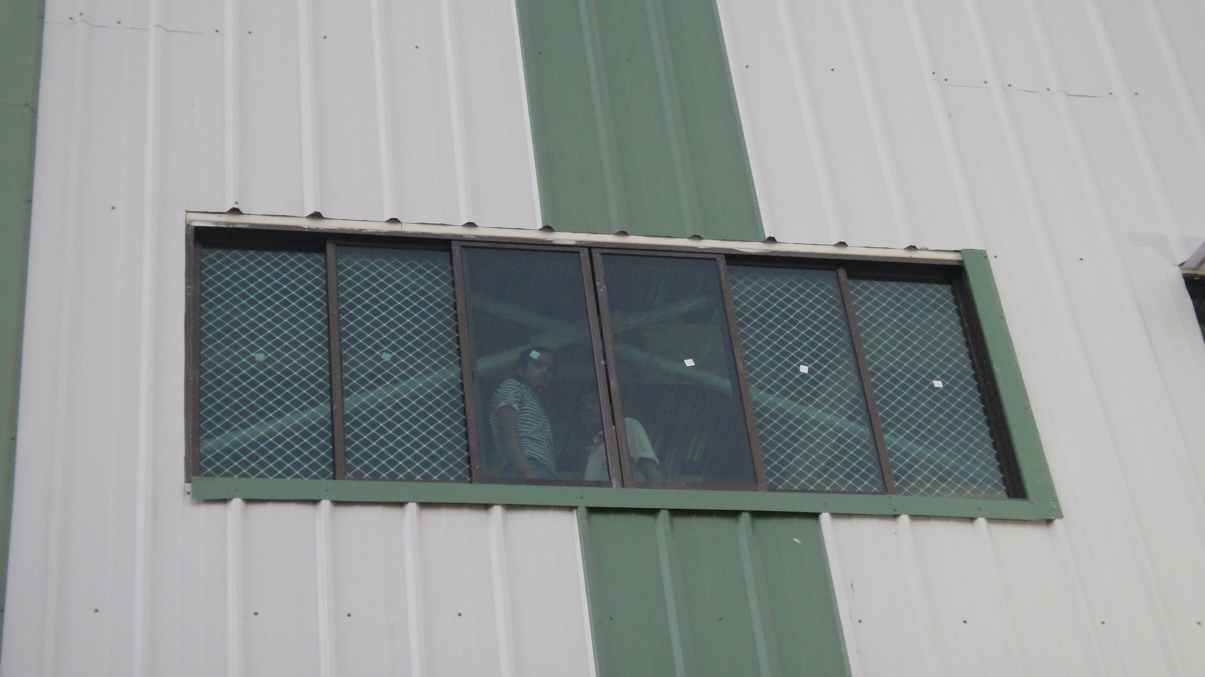 Window Replacement Services
