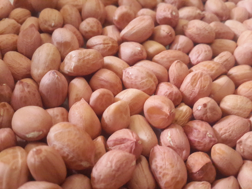 टीजे कच्ची मूंगफली