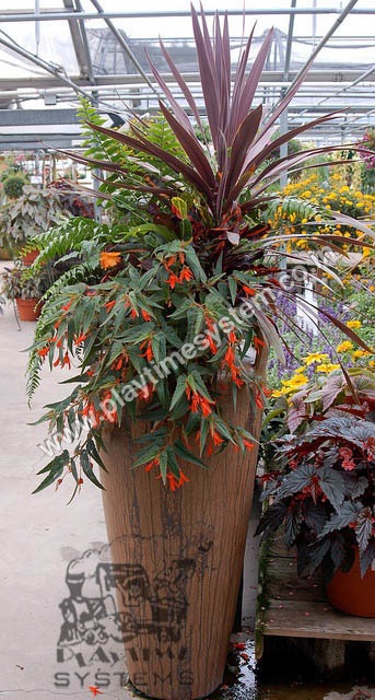 एफआरपी प्लांटर