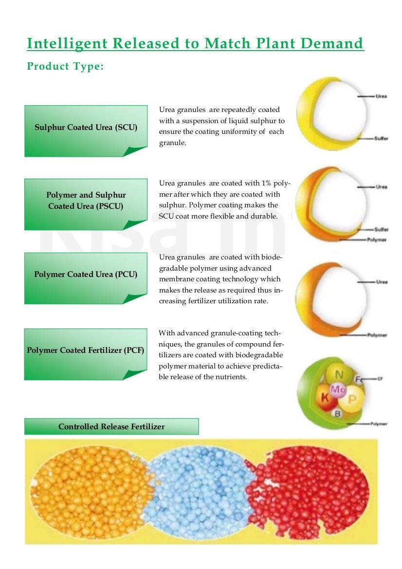 Controlled Release Fertilizer - Granular Pellets, 1.2 G/cm³ Density, 90-99% Active Nutrients, Slow Release For Balanced Soil Nutrition