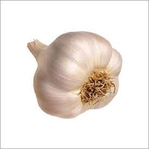 Organic Garlic