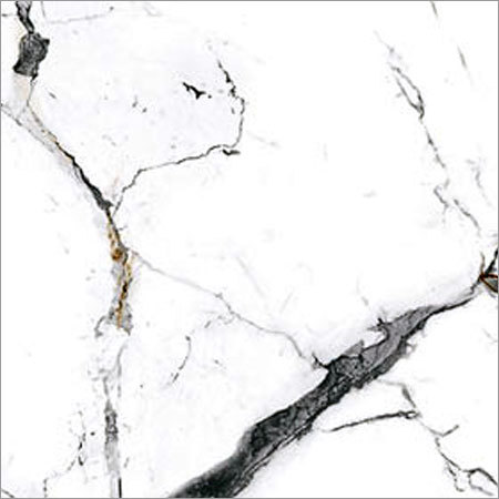 रॉयल सट्वारियो ग्रे