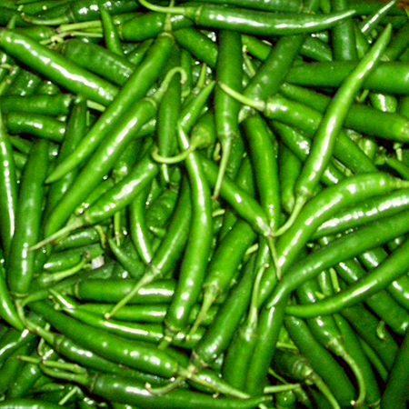 हरा मिर्च