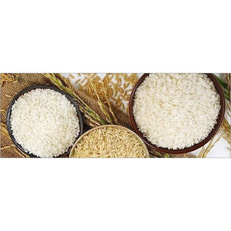 पूसा बासमती चावल