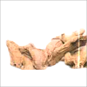 Dry Ginger - Raw, Cube Shape | Natural Flavoring Ingredient for Culinary Uses