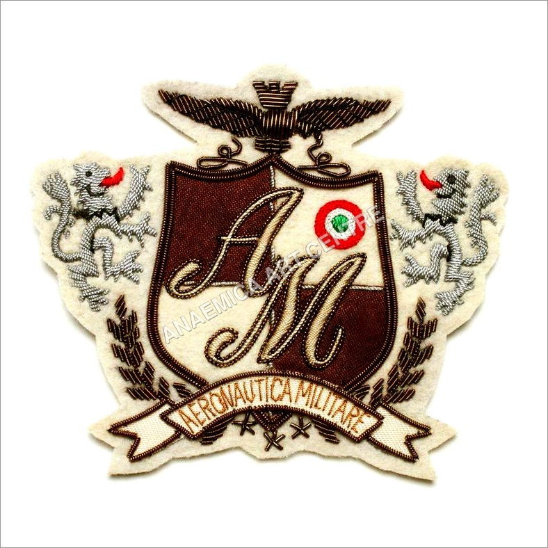 Embroidered Aeronautica Military Badge