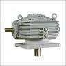 Evd Type Single Reduction Worm Gear Unit - Color: Blue
