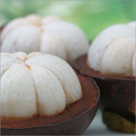 बैंगनी मैंगोस्टीन