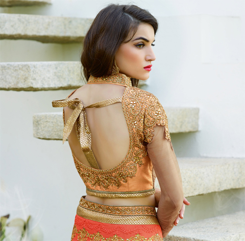 Elegent Bollywood Saree