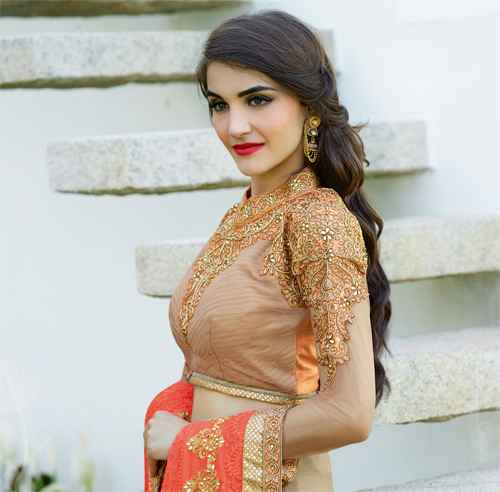 Elegent Bollywood Saree