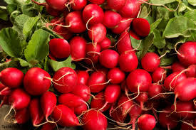 लाल मूली