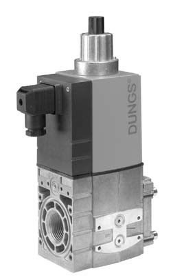 Dungs Valves - Color: Silver