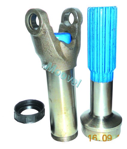 सिल्वर योक एंड टीथ सेट