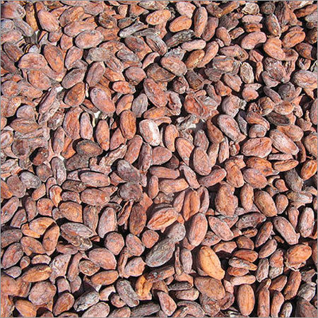 Cocoa Beans