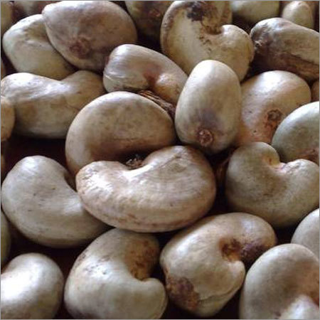 कच्चा काजू नट