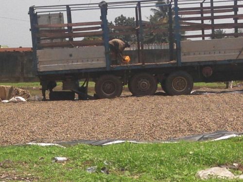 काजू मेवे