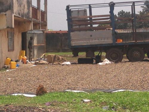 काजू नट्स