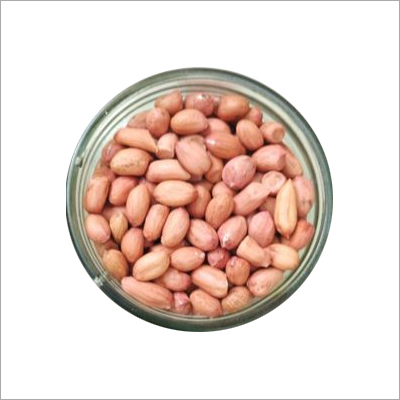 Tasty Roasted Peanuts - Bold Type Blanched, 5 to 25 Kg Vacuum Pack | High Nutrient Value, Distinctive Taste, Freshness, HACCP Certified