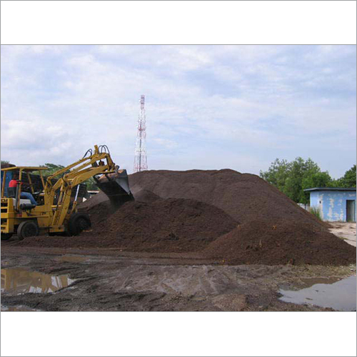 Palm Kernel Shells