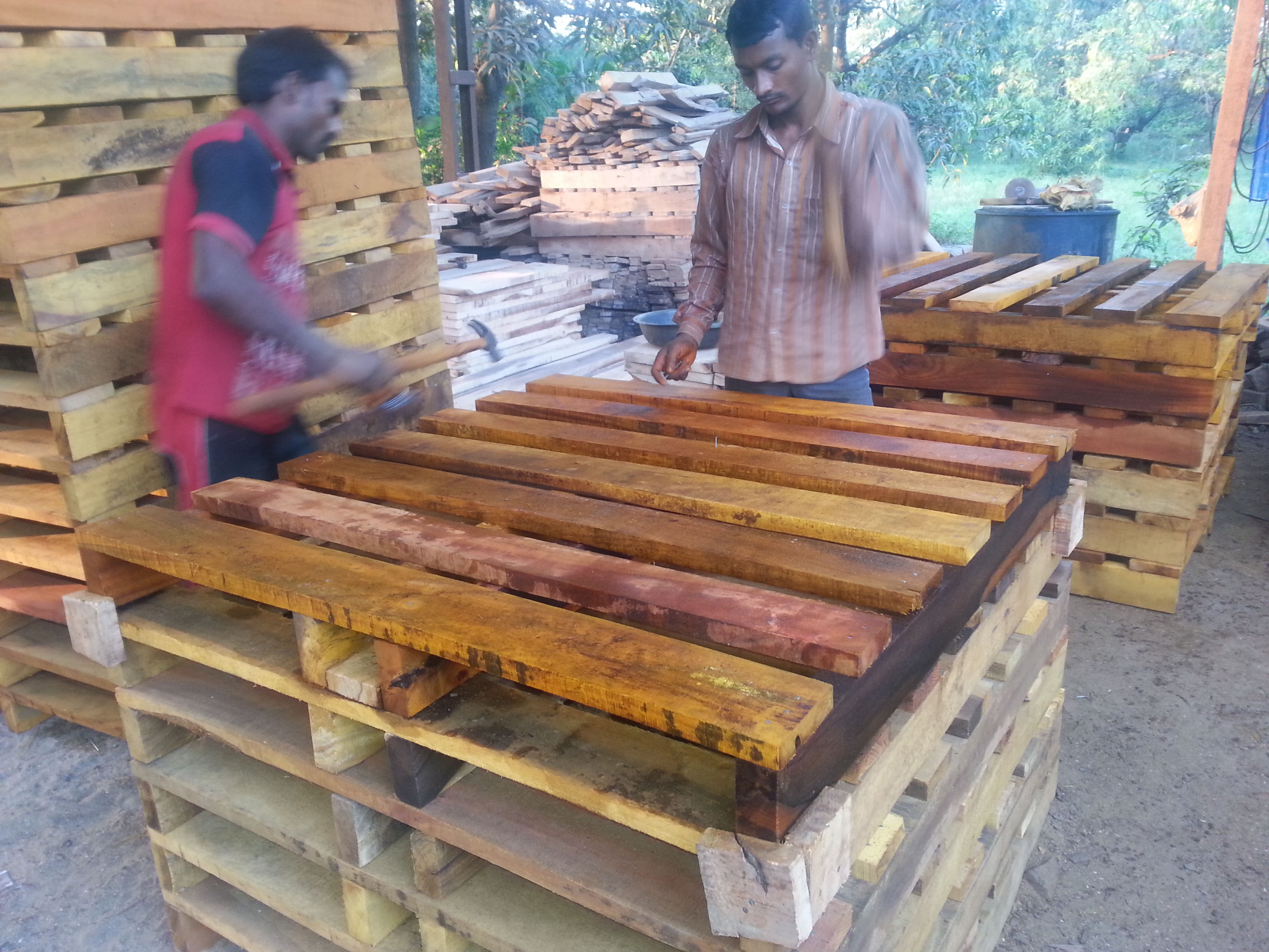 Jangal Wood Two Way Pallets