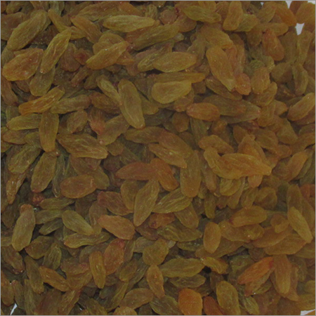 सुनहरा किशमिश