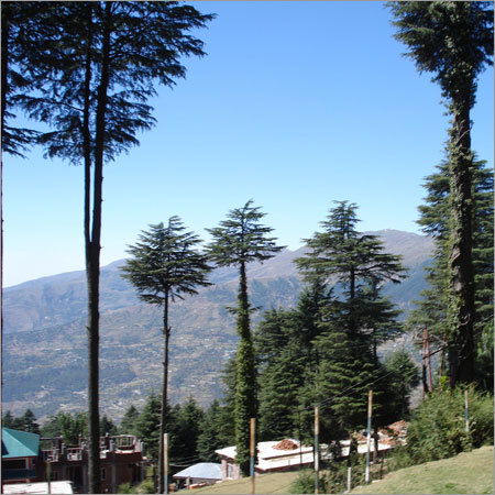 पांच दिन श्रीनगर टूर पैकेज