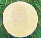 Khakhras