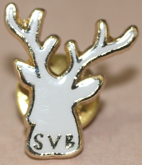Printed Lapel Pins - Custom Shaped, High-quality Metal Badges With 4-color Offset Printing | Embossed Design, Various Material Options, Nickel Plating, Custom Sizes
