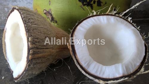 नारियल का छिलका हटाया हुआ