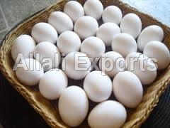 फार्म अंडा