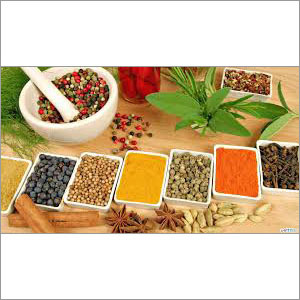 Unani Medicine