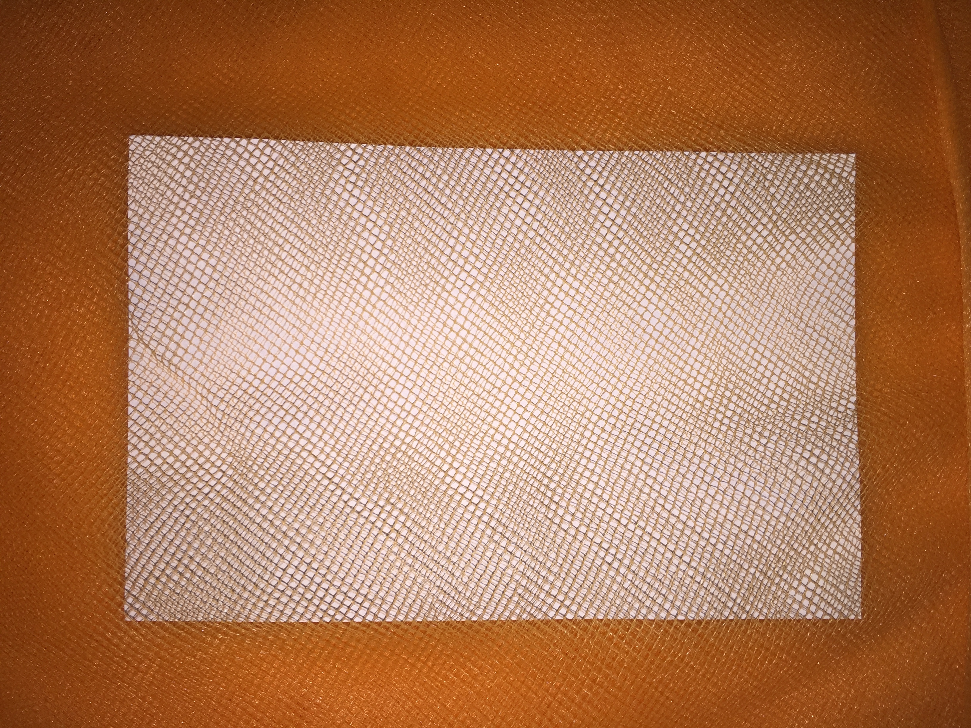 Mosquito Net Bundle