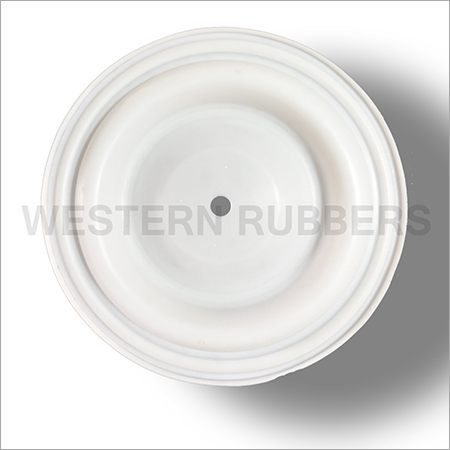 वाइल्डन पंप PTFE डायफ्राग्म
