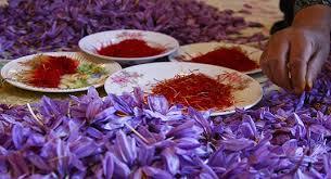 Pure Saffron From Kashmir