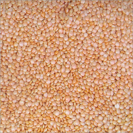 मसूर दाल