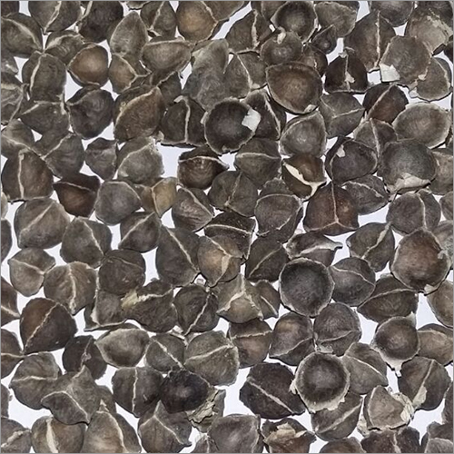 बिना पंख वाले मोरिंगा बीज