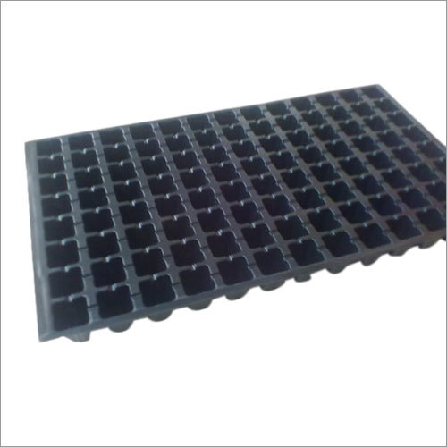 बीजाई ट्रे