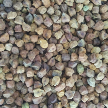 काला चना