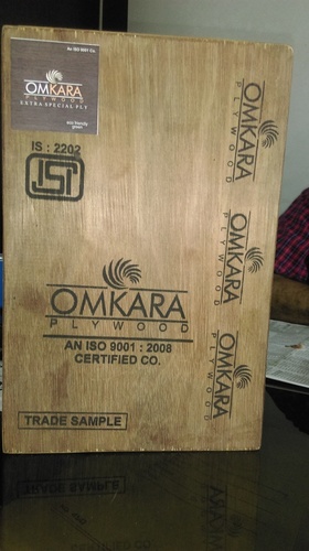 फ्लश डोर