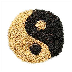Sesame Seed